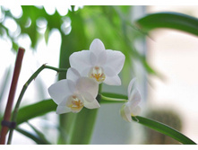 ���������� ���� 22.03.14