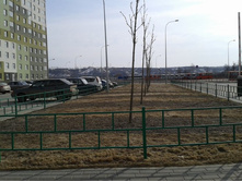 20140322_150104.jpg