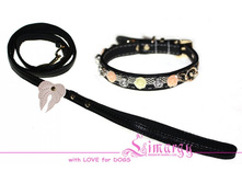 �������� Wings-2 ������(�������, �������) 548 ���.jpg