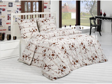 BONITA ������.JPEG