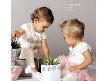 ���� ���������