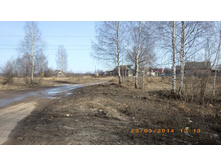 IMGP5175.JPG
