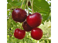 ����� ������������ ������������.jpg