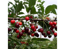 ����� ������������ ���������.jpg