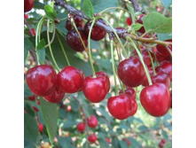 ����� ������������ ���������.jpg