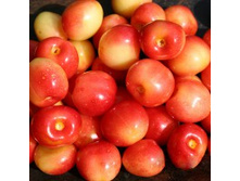 ������� ����.jpg