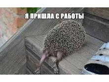 � ������ � ������(��)