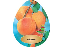 ������� �����������.jpg