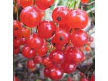 ��������� ������� ����������.jpg