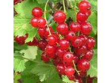 ��������� ������� ������.jpg