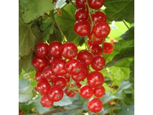 ��������� ������� �����������.jpg