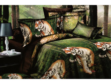 FDJ 3D ���������� ����� 1,5 �������� 40.jpg