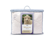 ���� ��������.jpg