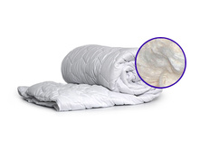 ����������� ���������.jpg