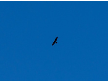 ������ ����.jpg