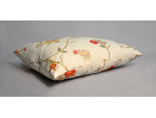 ������� ���������.jpg