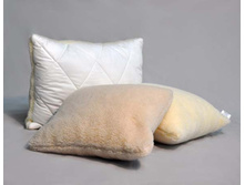 ������� �������.jpg