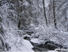 � ���� ����� � ����������