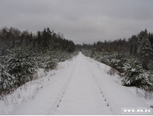 ��������� �/�