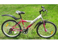 EDELWEISS SPEEDY 24"    