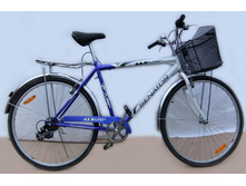 Senator CITY G-7S 28"