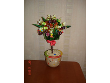 DSC04224.JPG