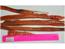 ������ ���� �������.jpg