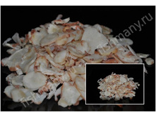 �������� �������.jpg