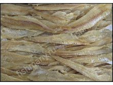 ������ ������.jpg