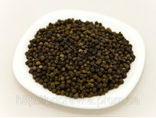 ����� ������ ��������.jpg