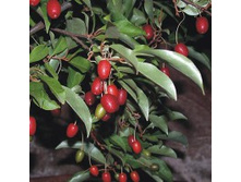 ��� �������������� (����).jpg