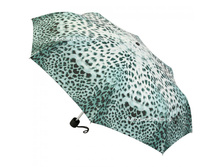 L 354 - 2513 Leopard Cat  860 ���
