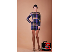 ������  529 ����������