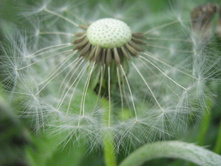 ���2007 208.jpg