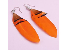 ������ ���������, 49 ���..jpg