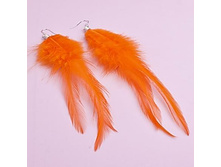 ������ �������, 49 ���..jpg