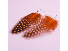 ������ �������, 49 ���..jpg