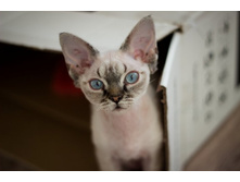 IMG_0859- ����� (2).jpg