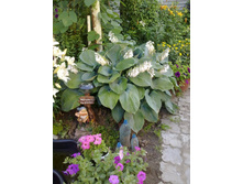 11072011267.jpg