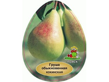 ����� ���������.jpg