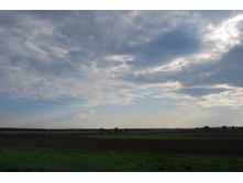 ����. ������� ����.