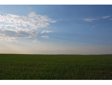 ��̣���, ��̣��� �����