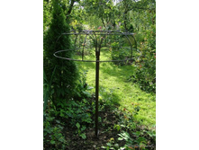 ���� ��� ����.jpg