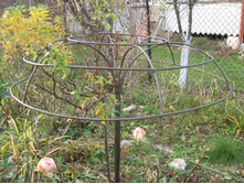 ������ ��� ����.jpg