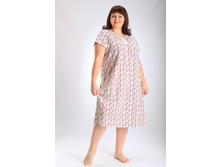 365 ������