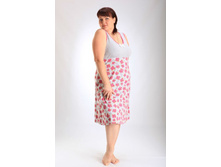 365 ������