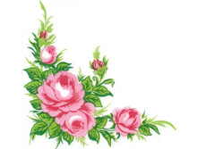 №8      8 ���             5 ��.    1/4 �����