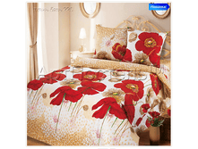 ������ ����.png