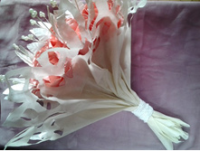 ��������� ����� ��������