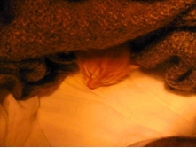 13.02.14 � ����� ����.jpg